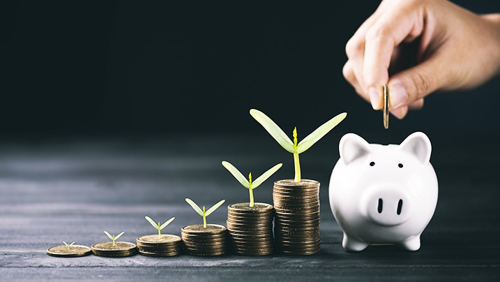 A Quick Guide to Automatic Savings Plan